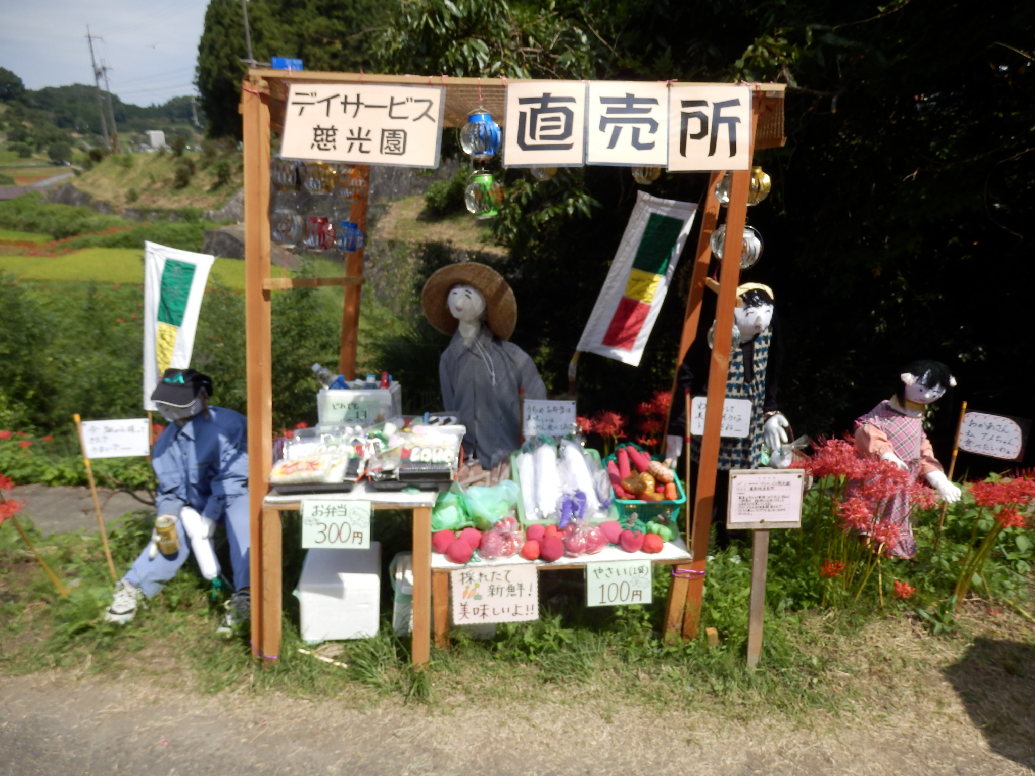 2015-10明日香棚田