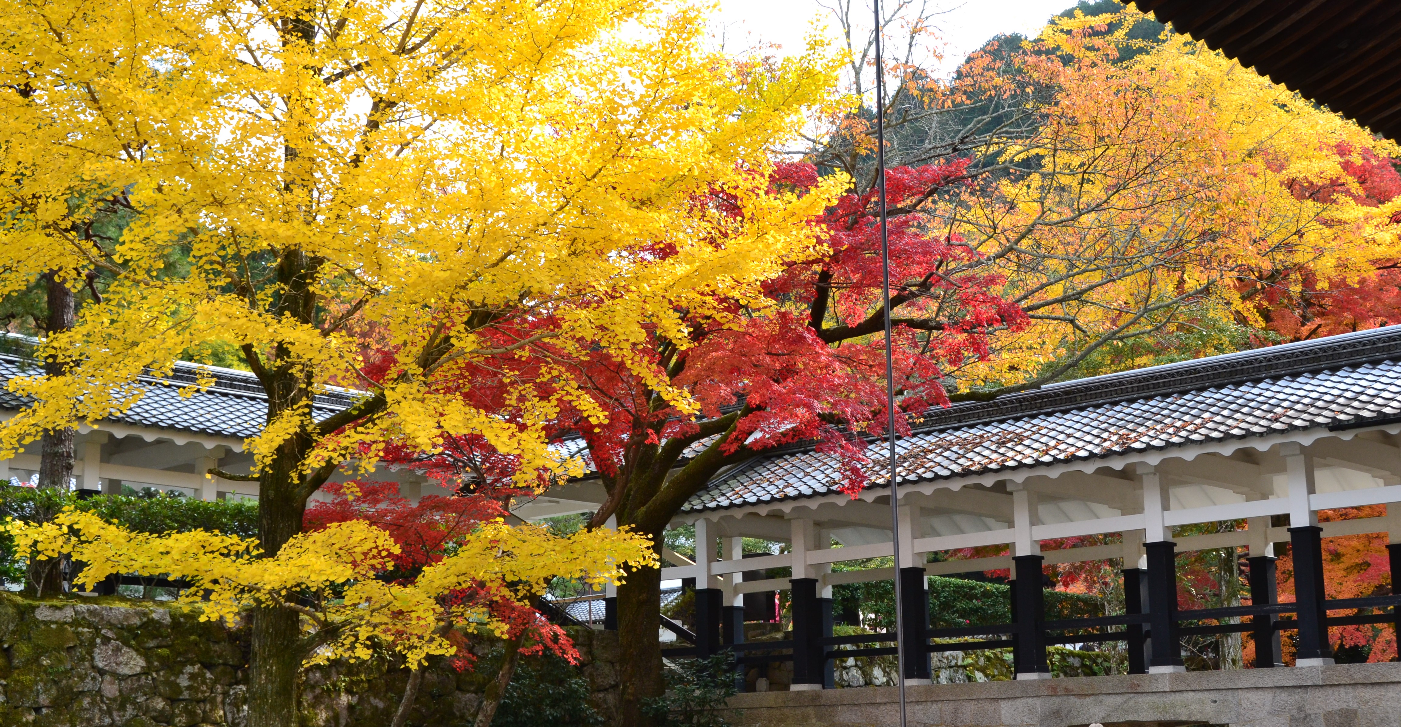 2016-11 南禅寺